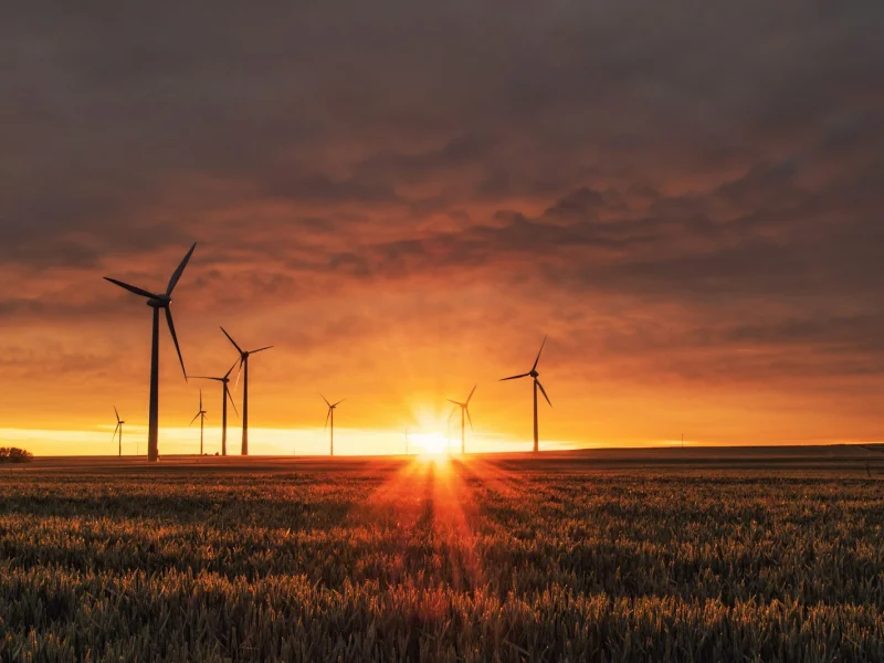 Rüzgârla gelen dönüşüm: sürdürülebilir enerji